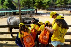 Elpida Youth Summer Camp
