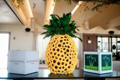 PAN_0298-scaled